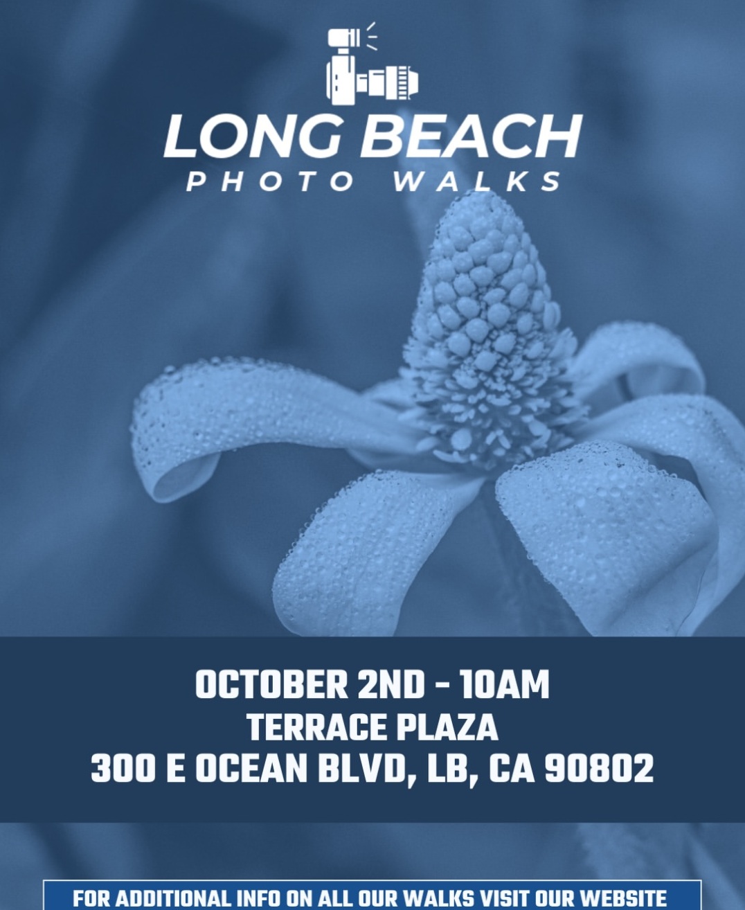 Long Beach Photo Walk: Flora and Fauna