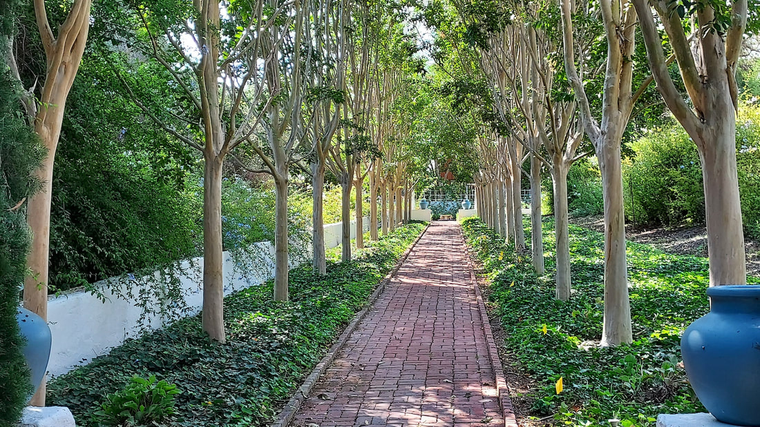 Forest Bathing at Rancho Los Alamitos