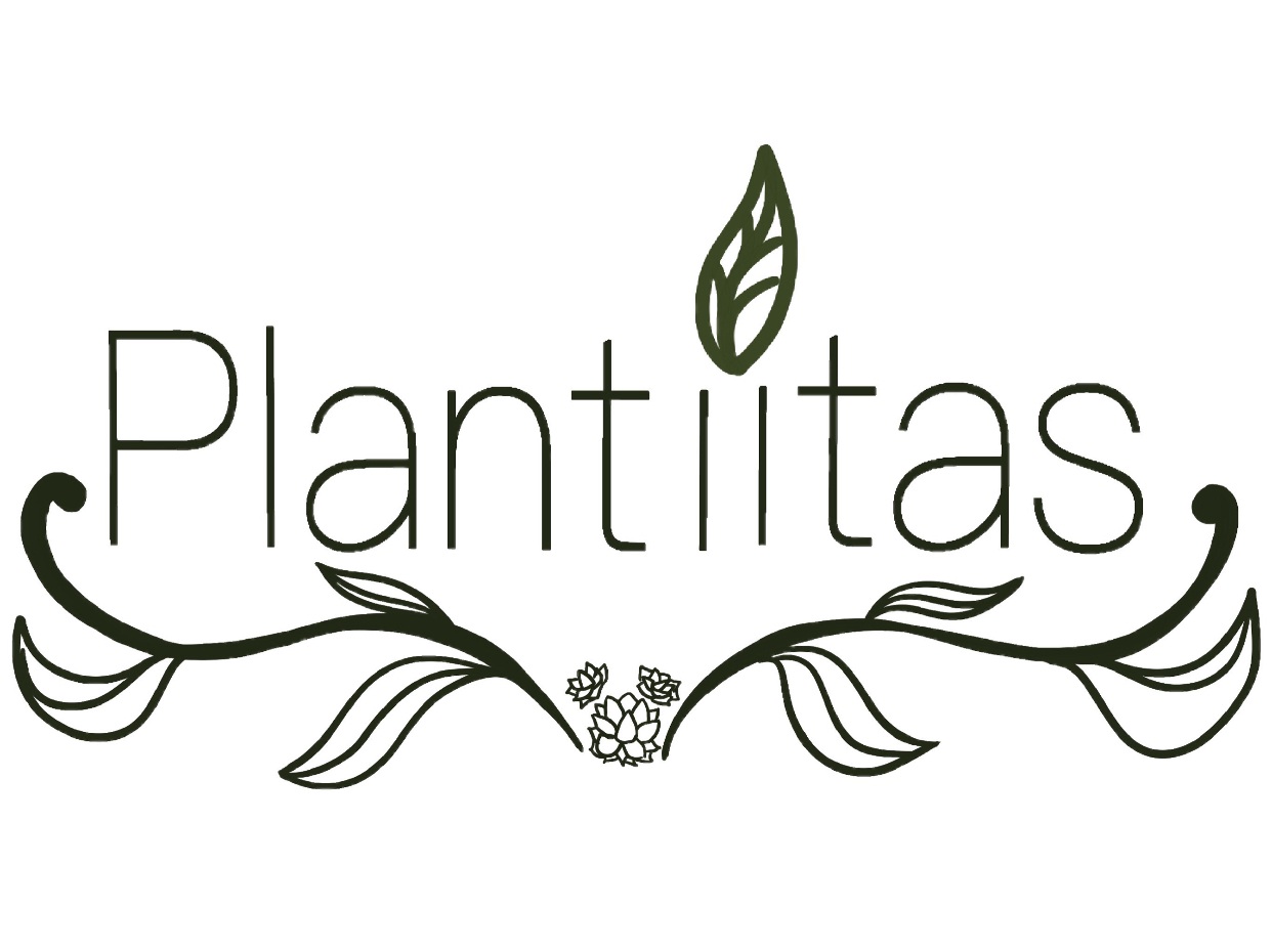 Espooky Terrarium Workshop at Plantiitas