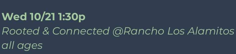 Rooted & Connected Mom Meet Up