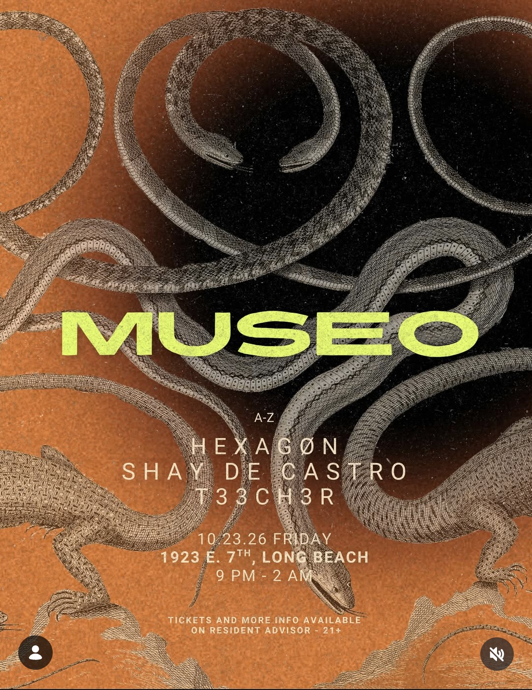 MUSEO 004