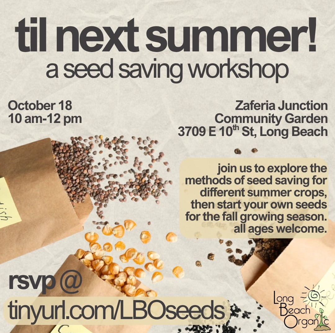 Til Next Summer: Seed Saving Workshop