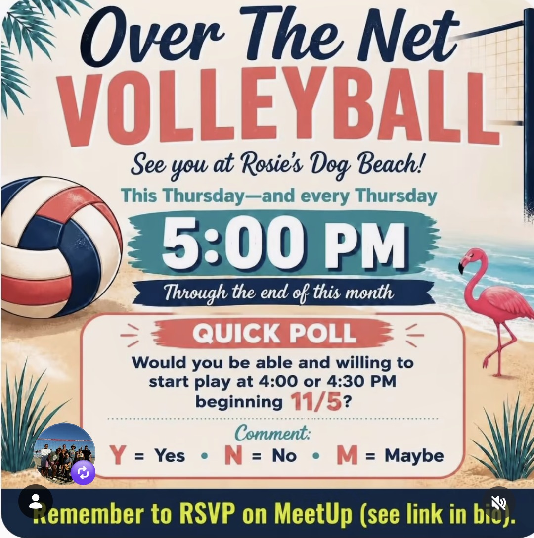Over The Net Volleyball at Rosie’s Dog Beach