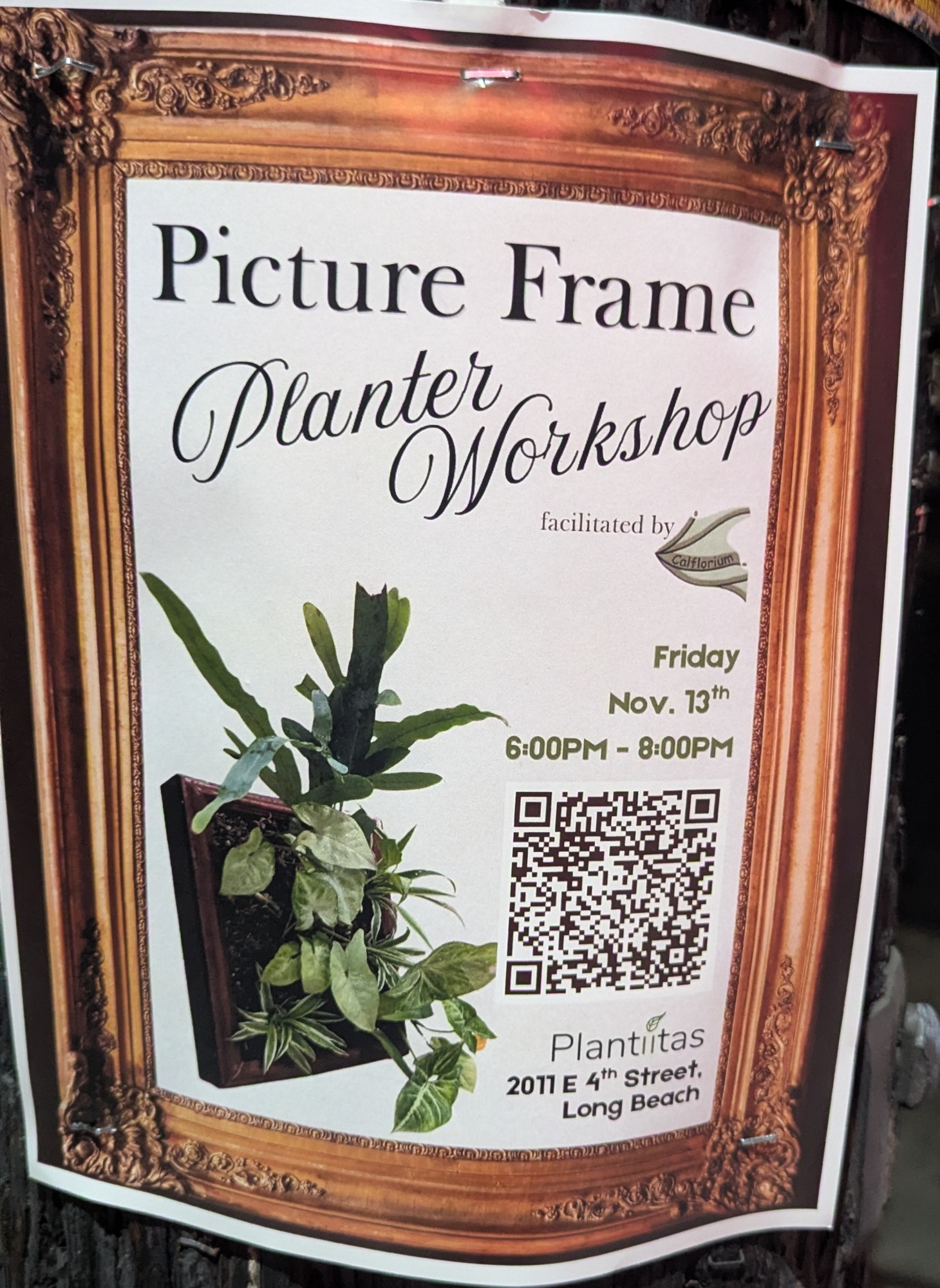 Picture Frame Planter Workshop