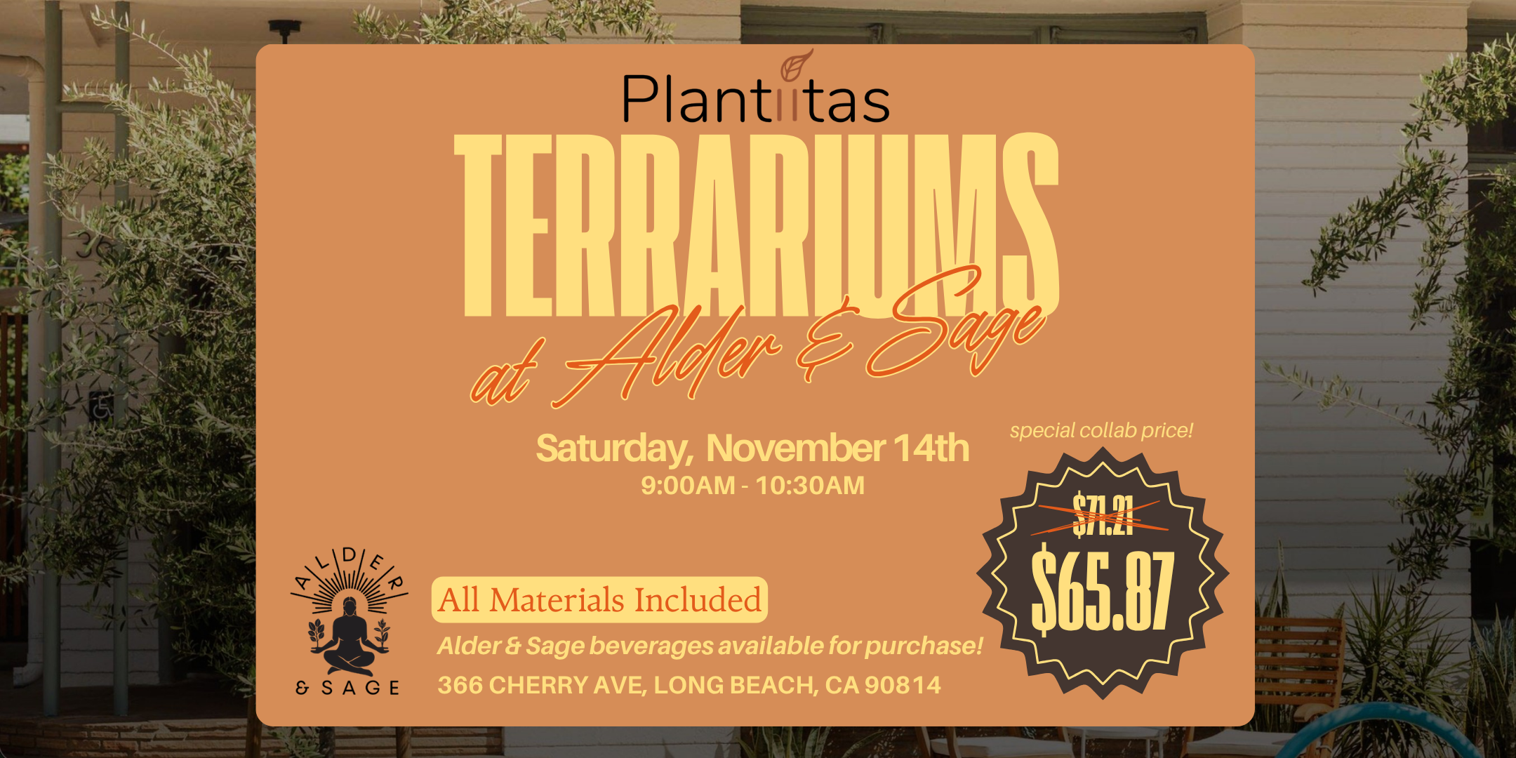 Plantiitas Terrarium Workshop at Alder & Sage