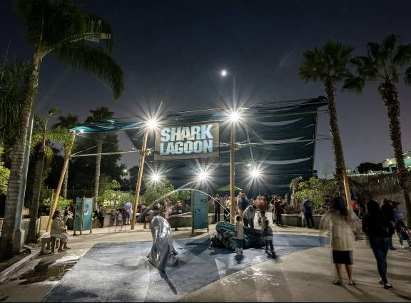 Shark Lagoon Twilight Tuesdays